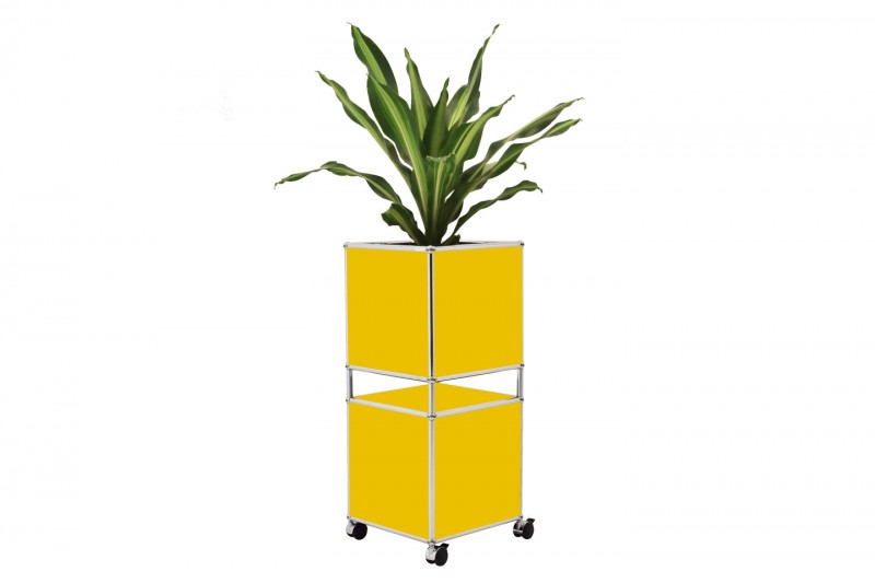 USm Haller Maceta de Flores Amarillo Oro RAL 1004