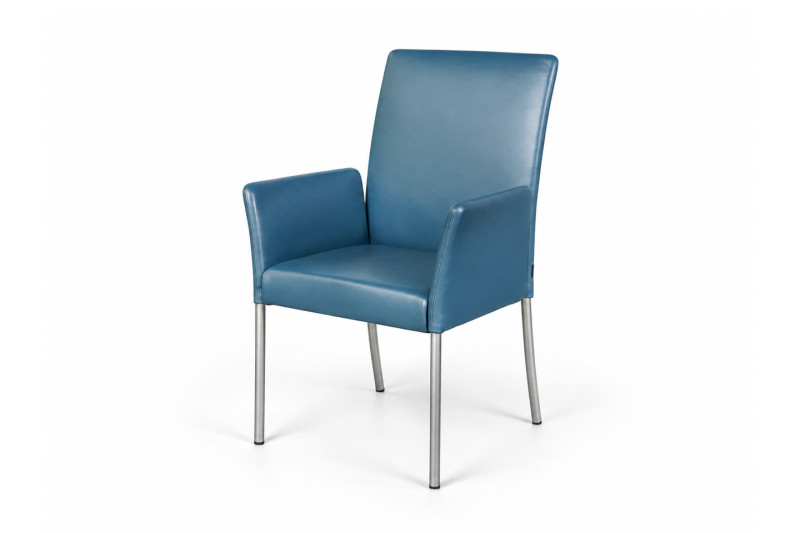 Walter Knoll 1410 Armchair Leather / Black