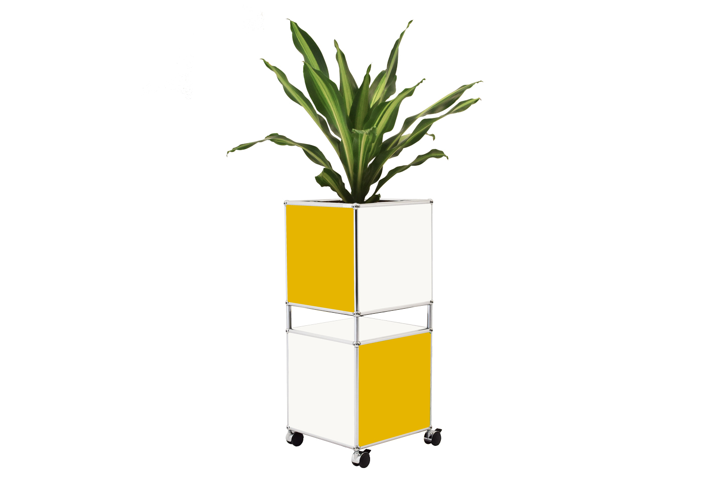 USM Haller Flowerpot Pure White / Graphit Black