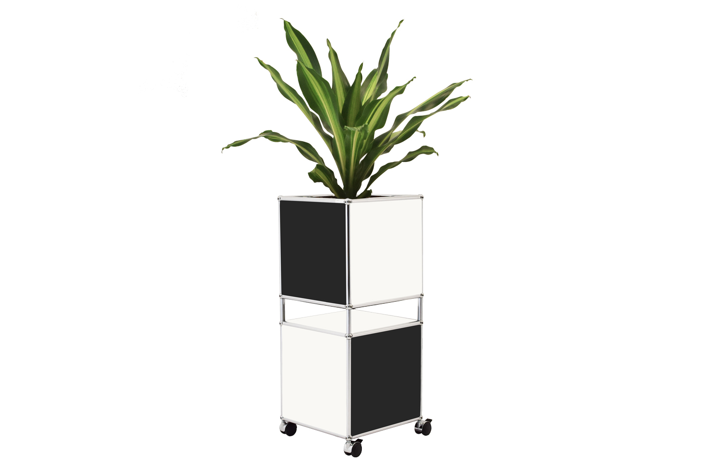 USM Haller Pot de Fleurs Blanc Pur / Noir Graphite